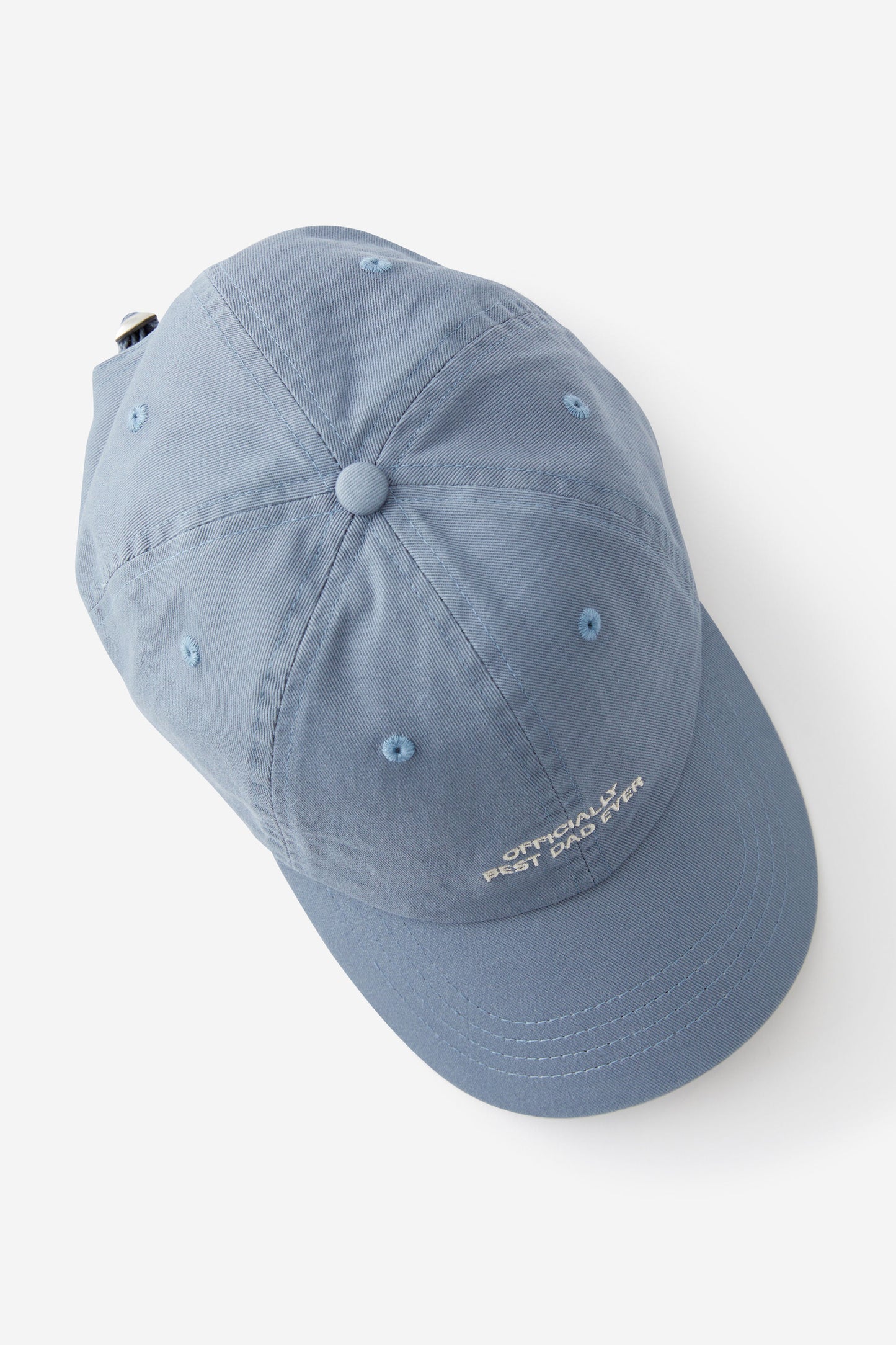 Just Another Dad Cap