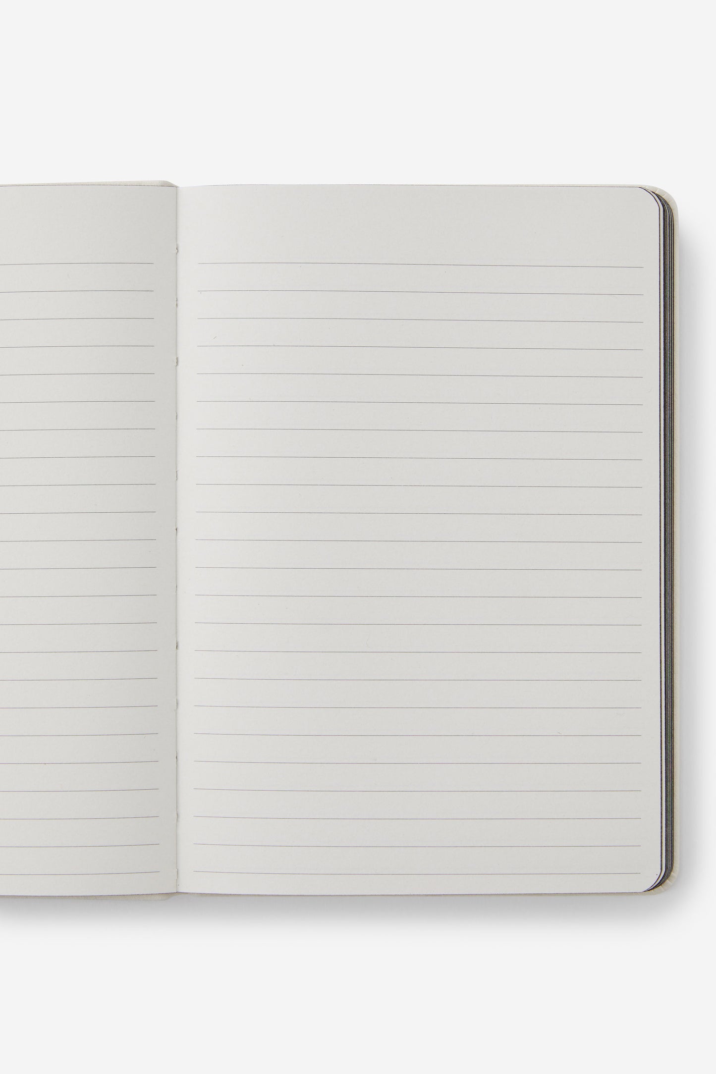 A5 Buffalo Journal
