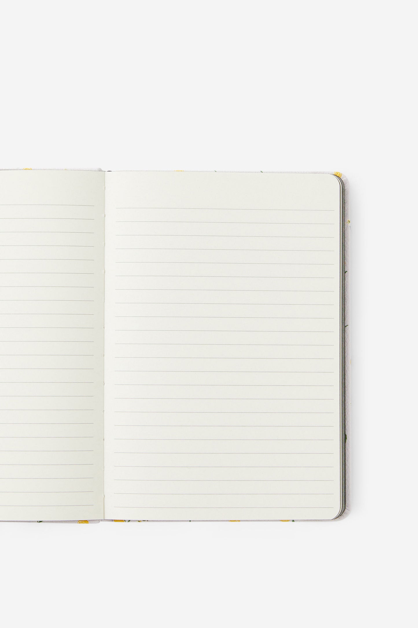 A5 Buffalo Journal