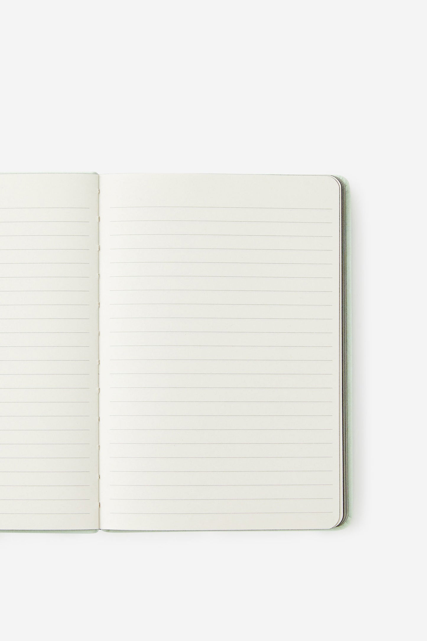 A5 Buffalo Journal