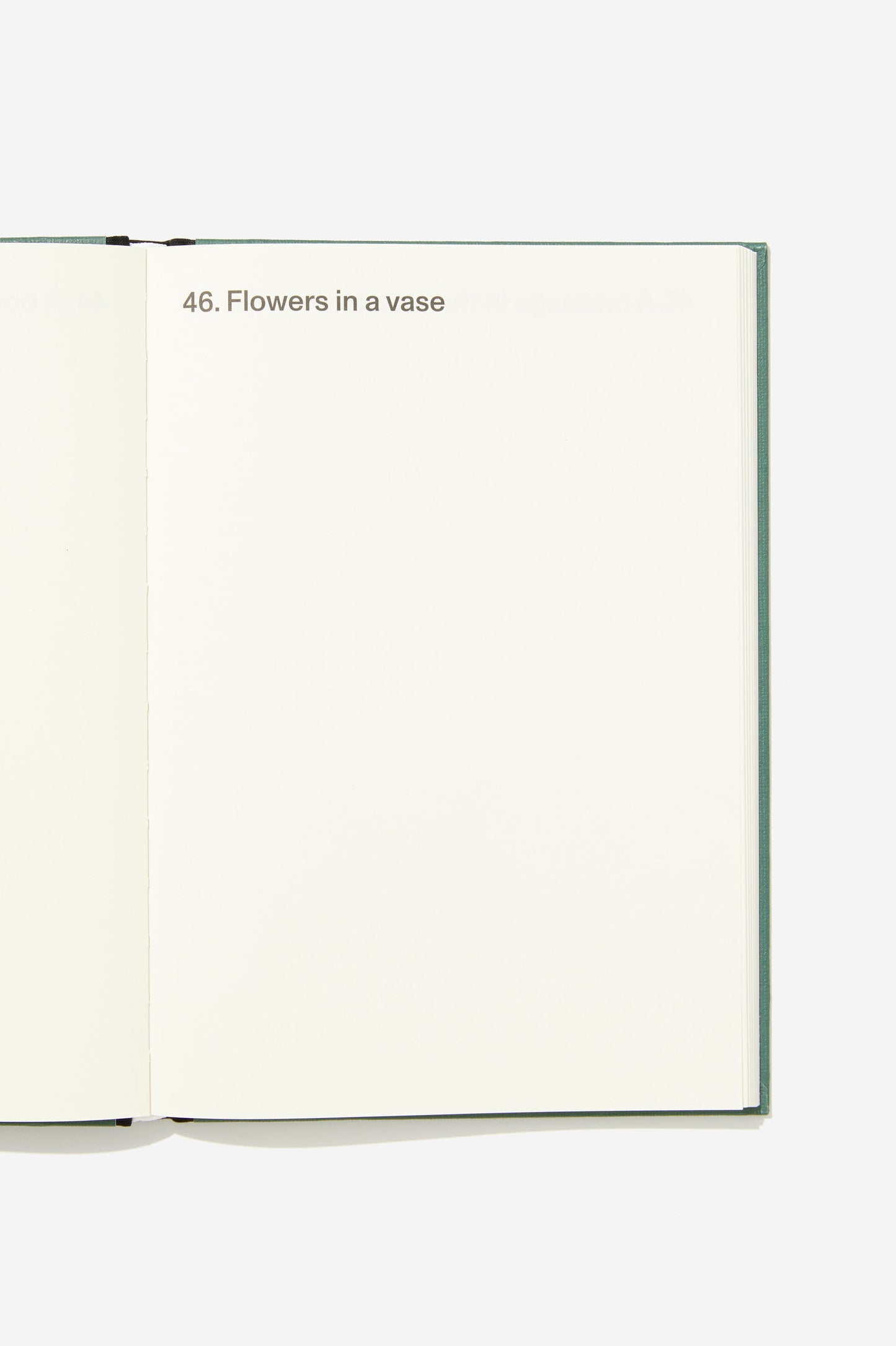 B5 Activity Journal