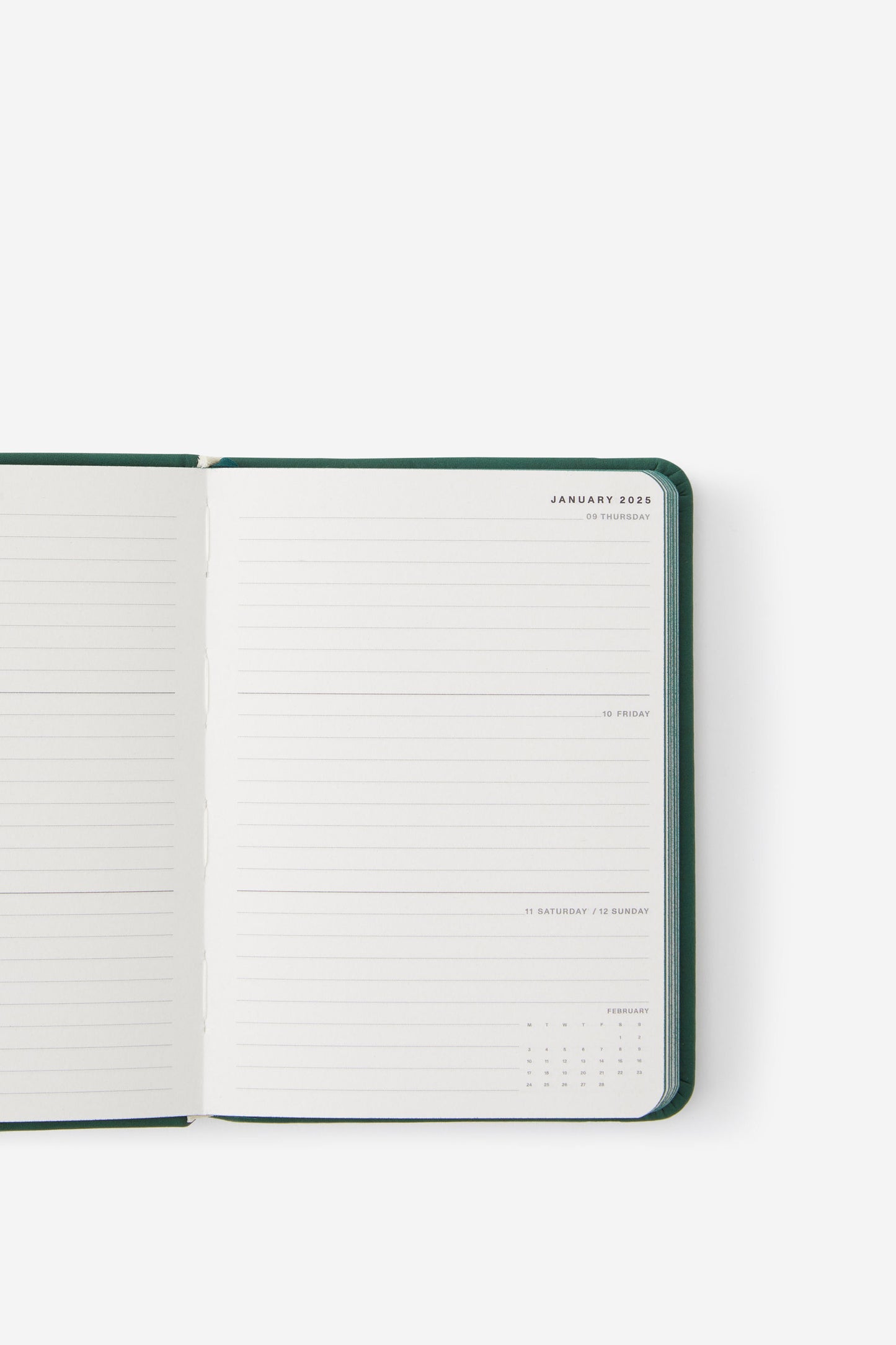 2025 A6 Weekly Buffalo Diary