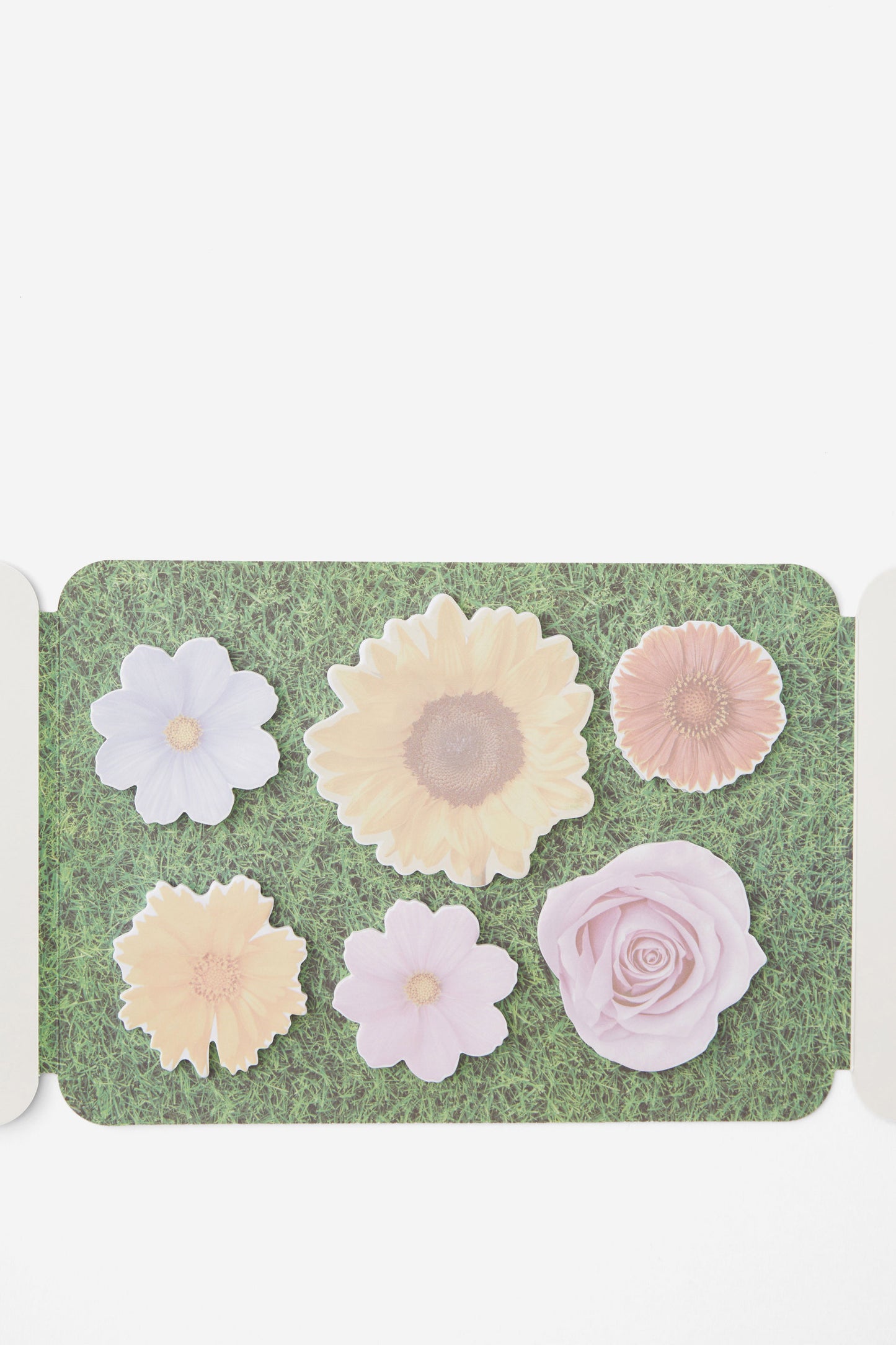 Novelty Sticky Notes