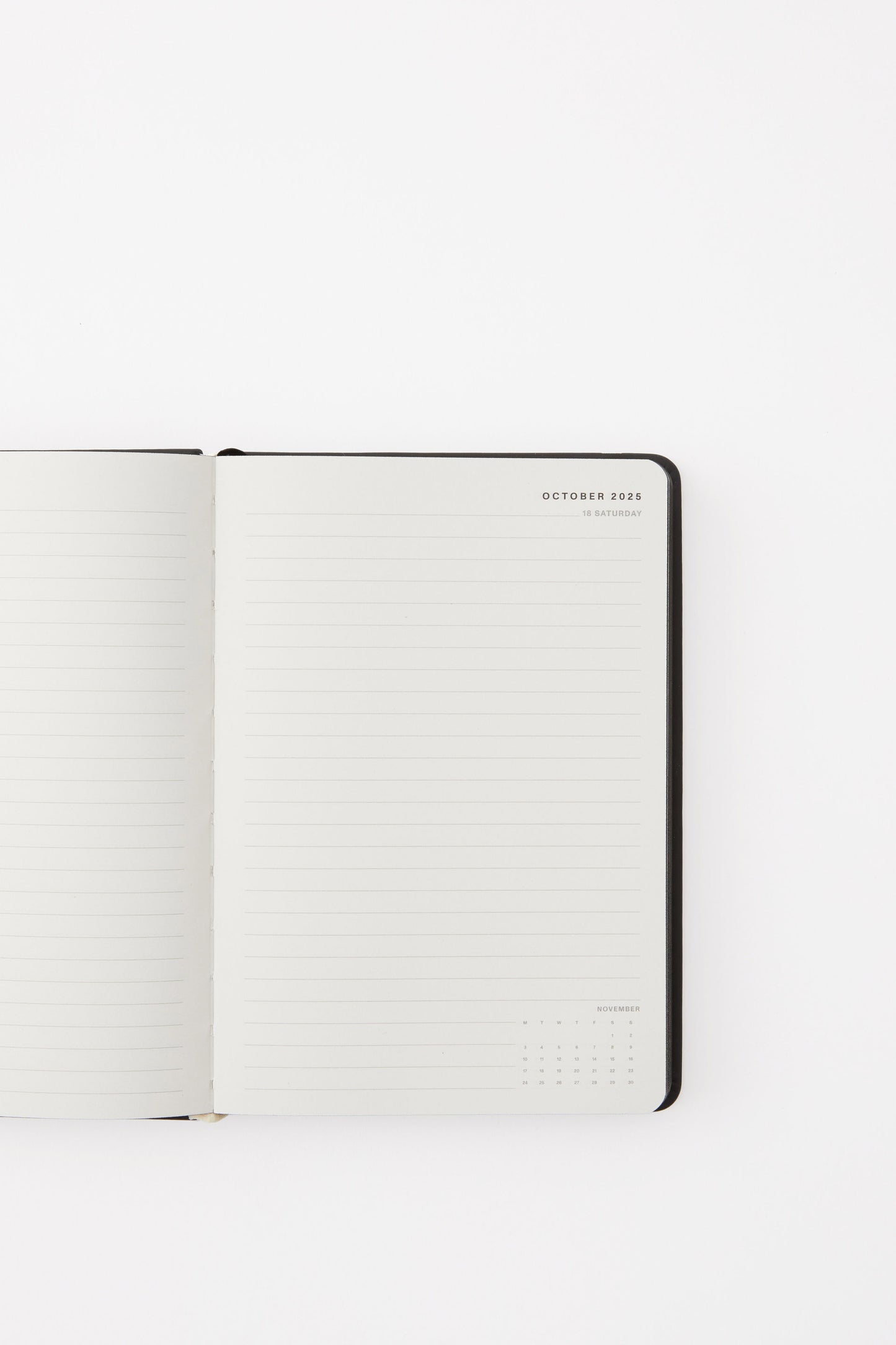 2025 26 A5 Daily Buffalo Diary