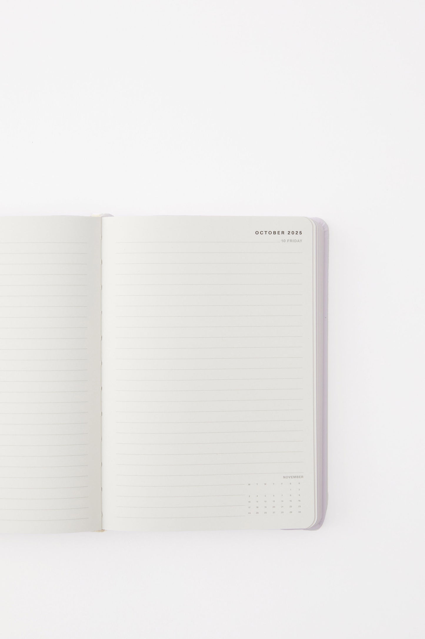 2025 26 A5 Daily Buffalo Diary