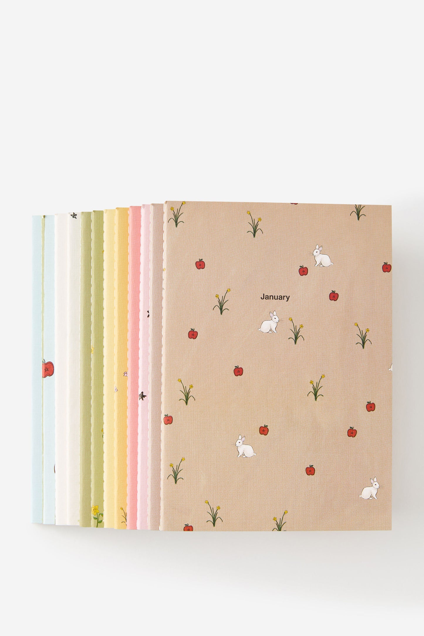 2026 B6 12 Month Box Set