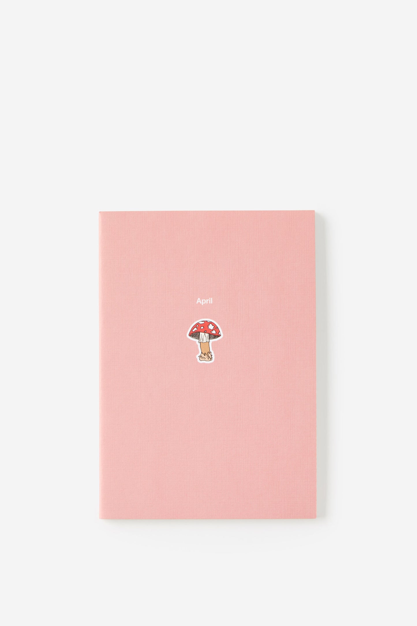 2026 B6 12 Month Box Set