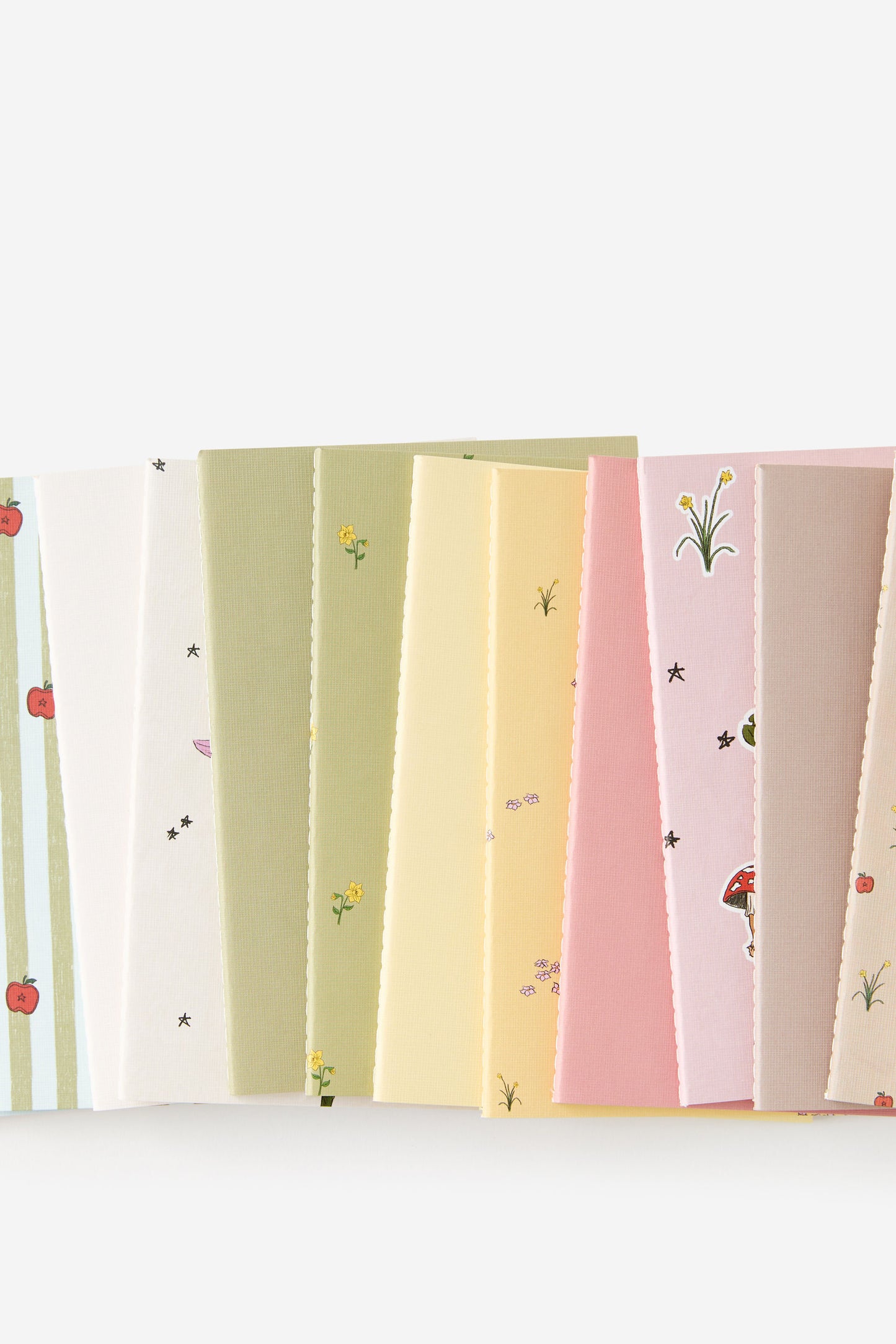 2026 B6 12 Month Box Set