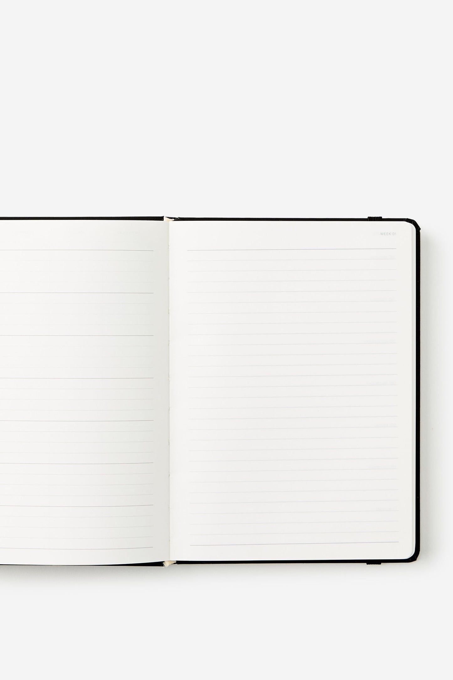 2026 B6 Weekly Hard Metro Diary