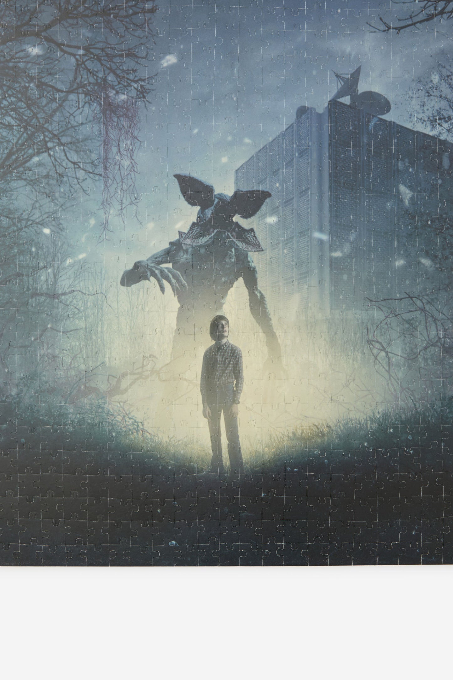 1000 Pce Dual Side Puzzle - Stranger Things