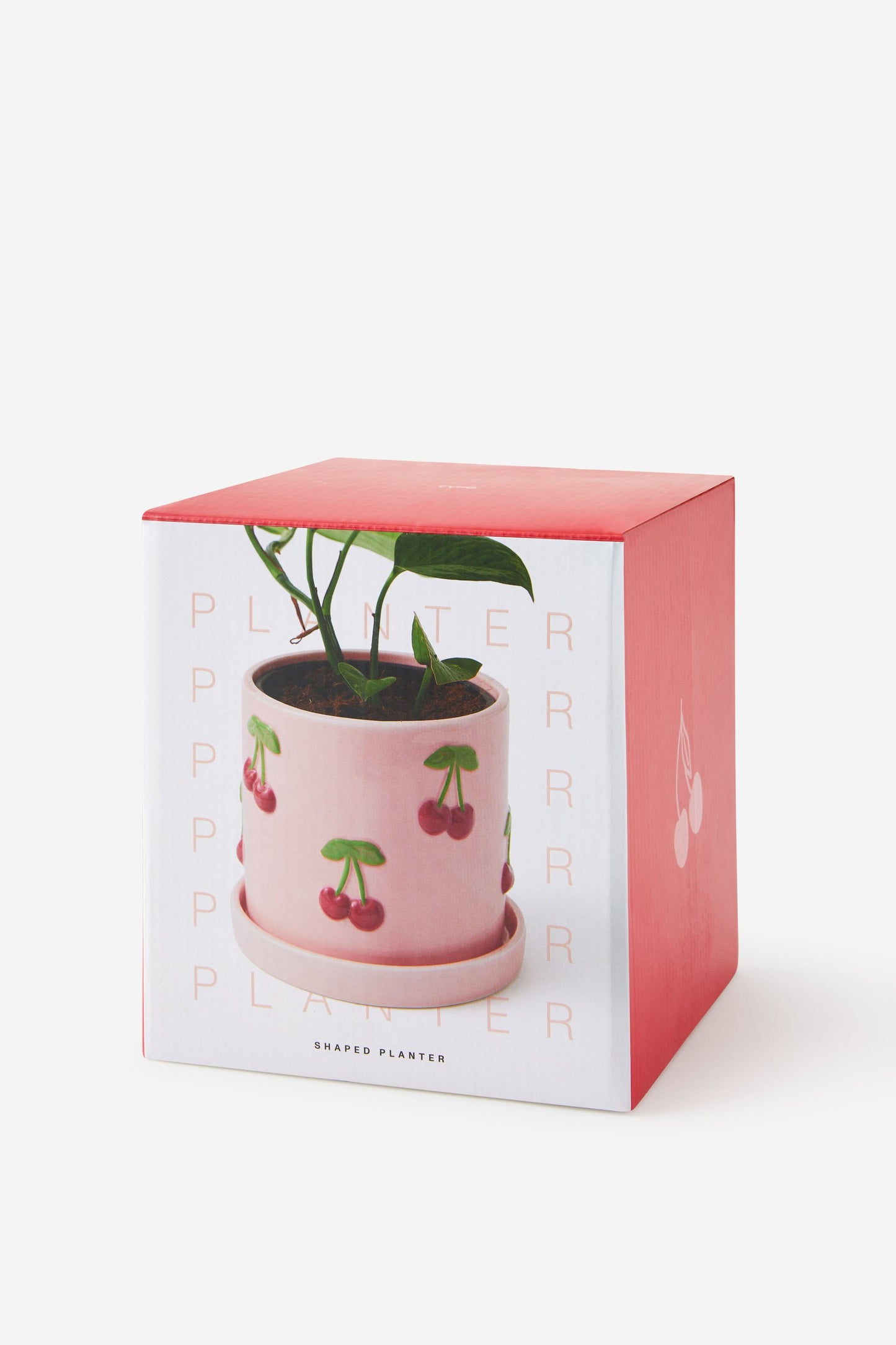 Midi Planter With Tray