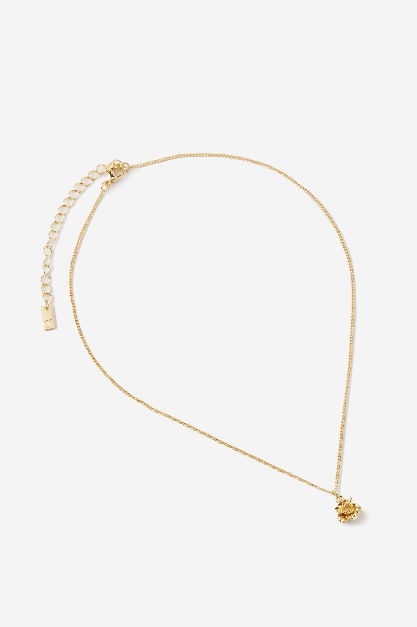 Pendant Necklace