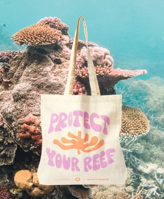 Let’s protect the Great Barrier Reef
