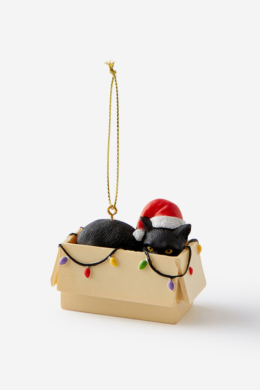 Resin Christmas Ornament