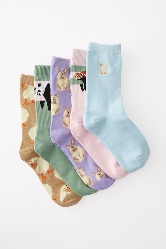 Box Of Socks