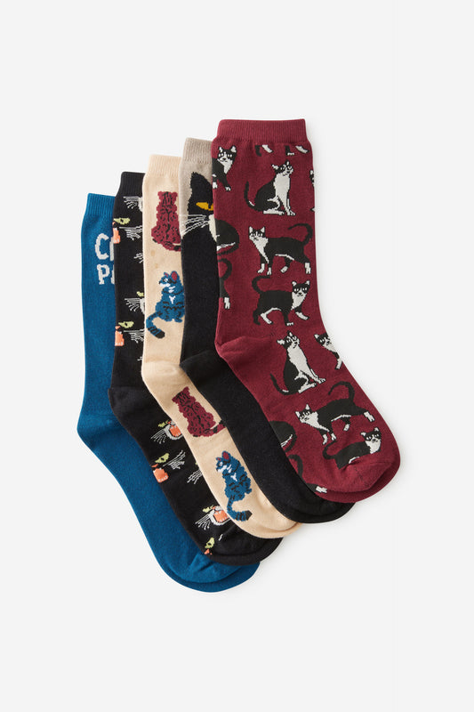 Box Of Socks