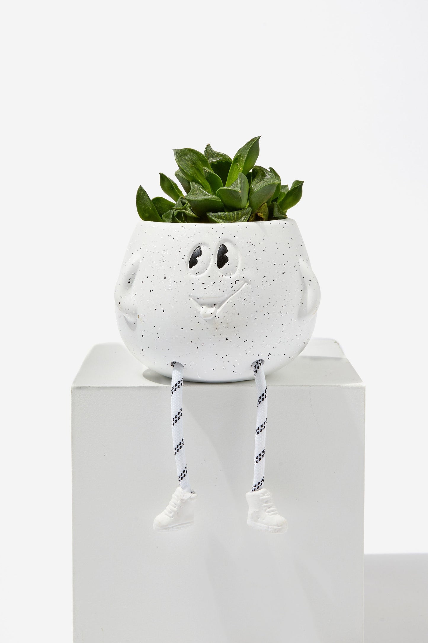 Midi Shaped Planter