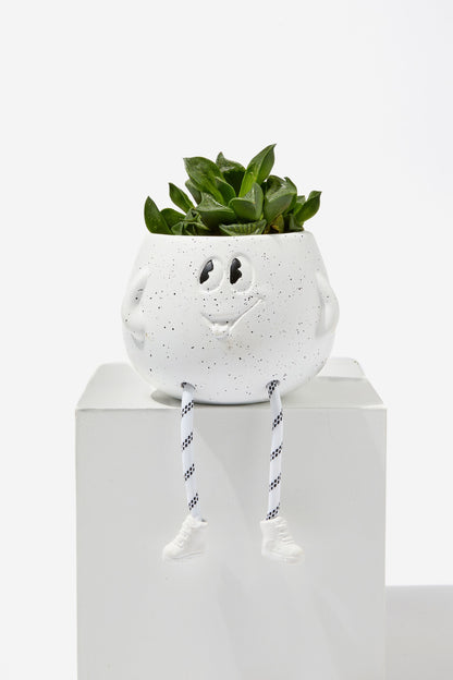 Midi Shaped Planter