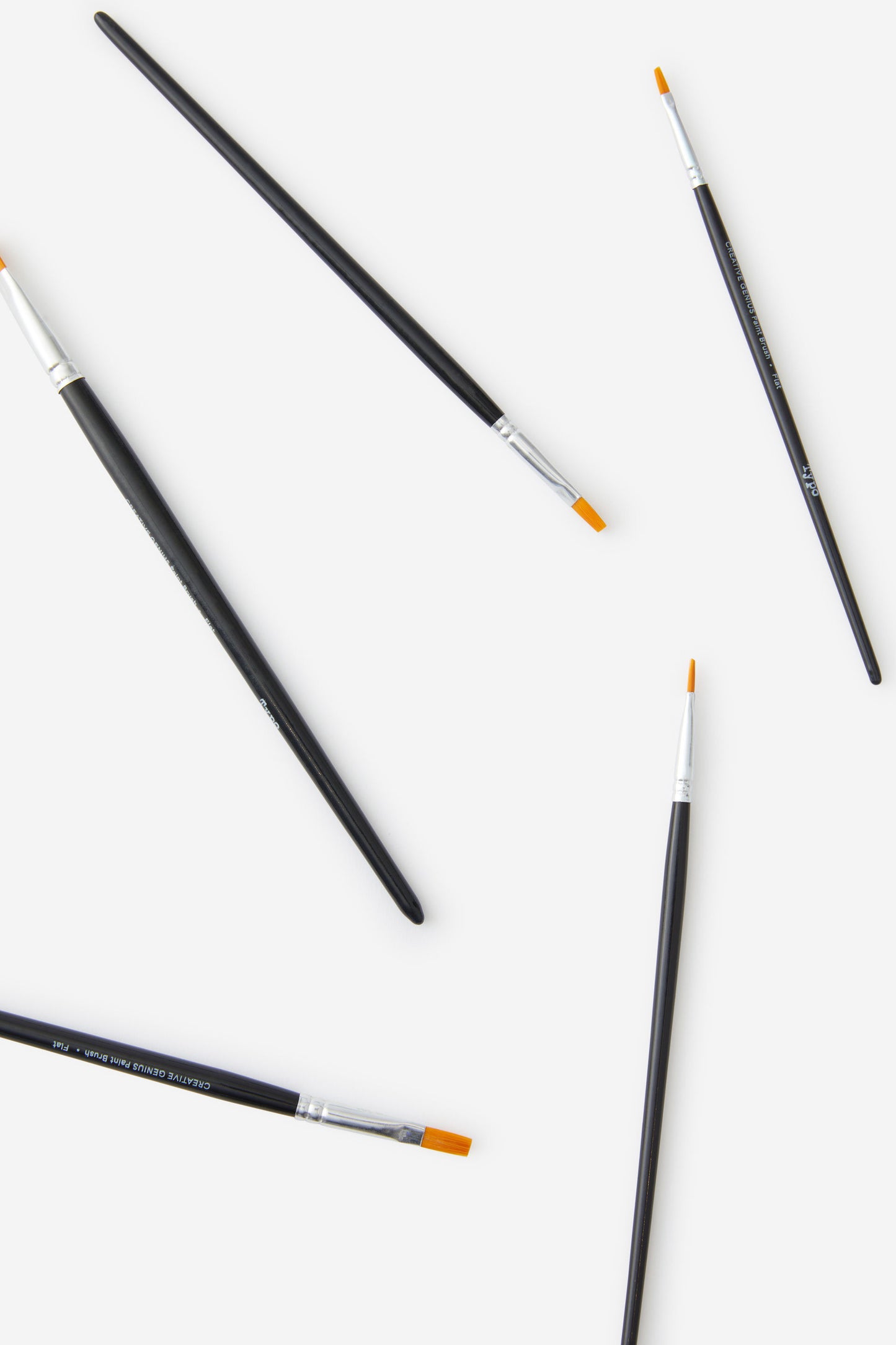 Paint Brush 5 Set