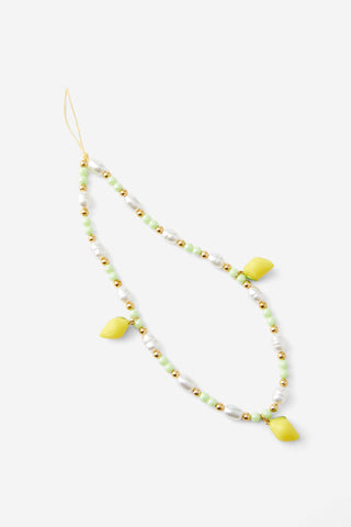 Carried Away Phone Charm Strap
