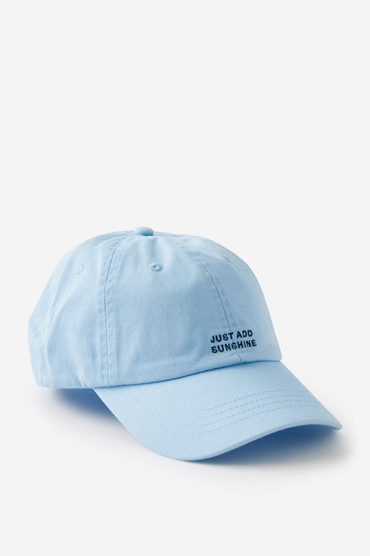 Just Another Dad Cap