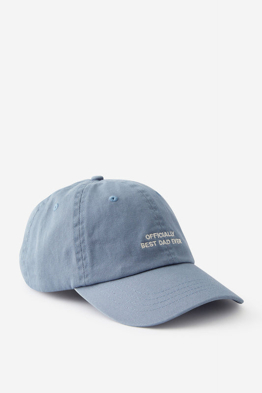 Just Another Dad Cap