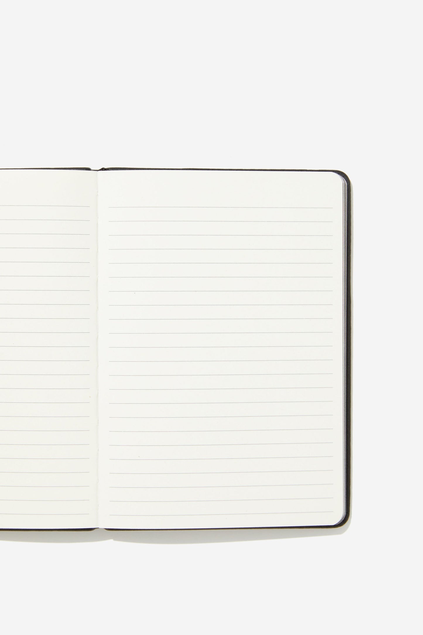 A5 Buffalo Journal