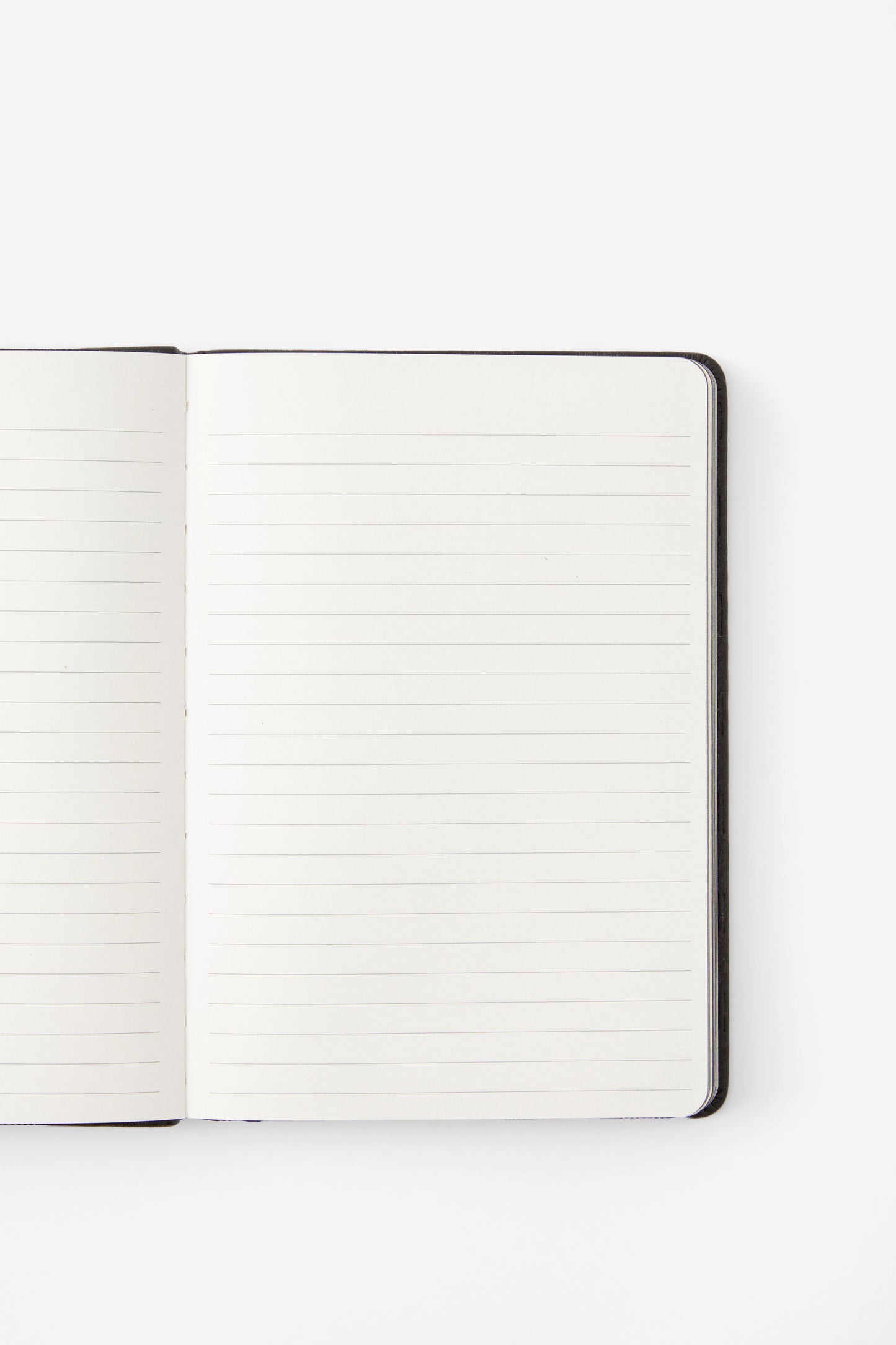 A5 Premium Buffalo Journal