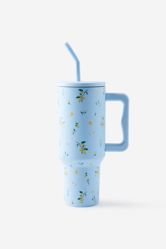 The Traveller Metal Tumbler