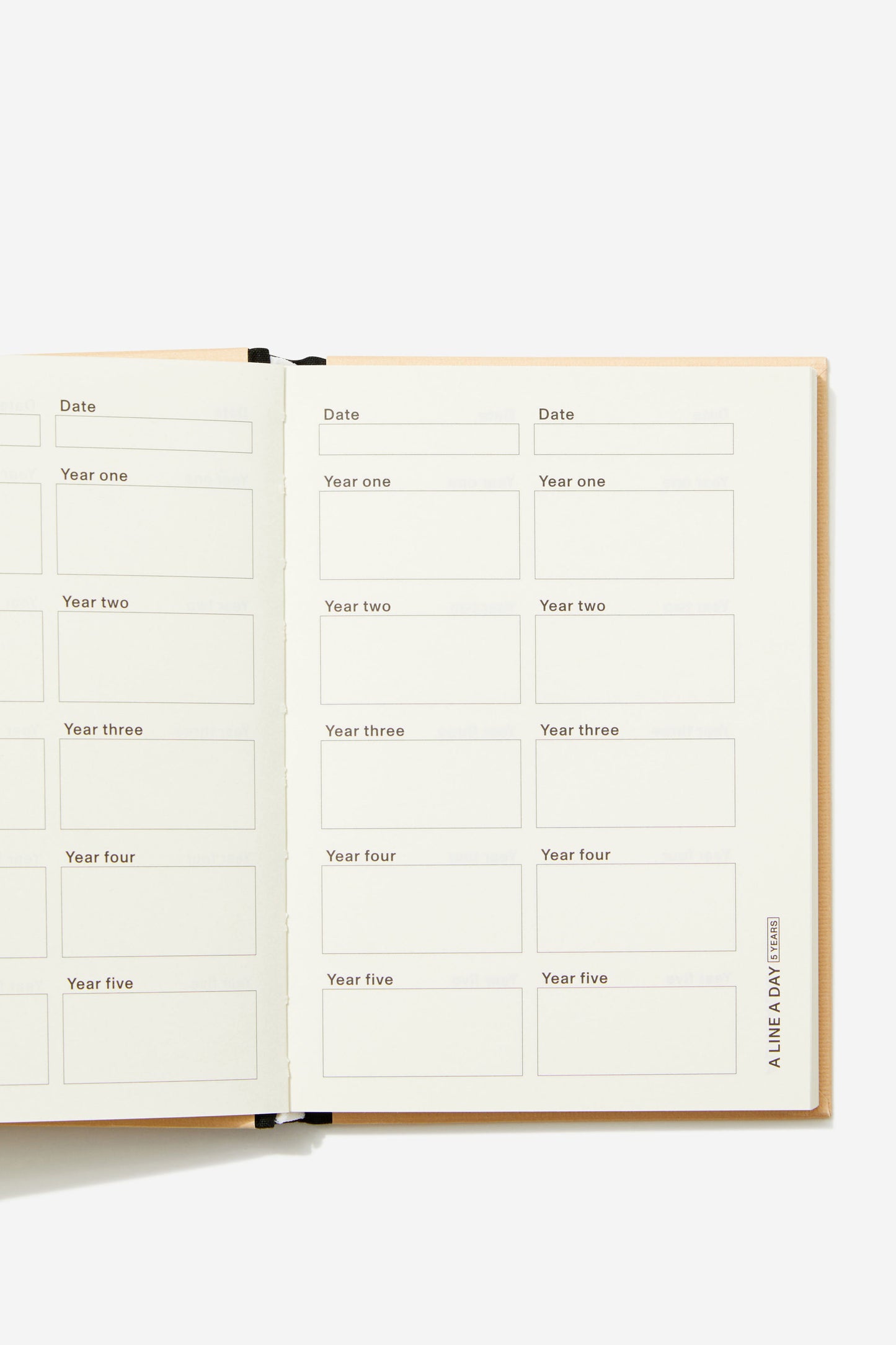 B6 Activity Journal