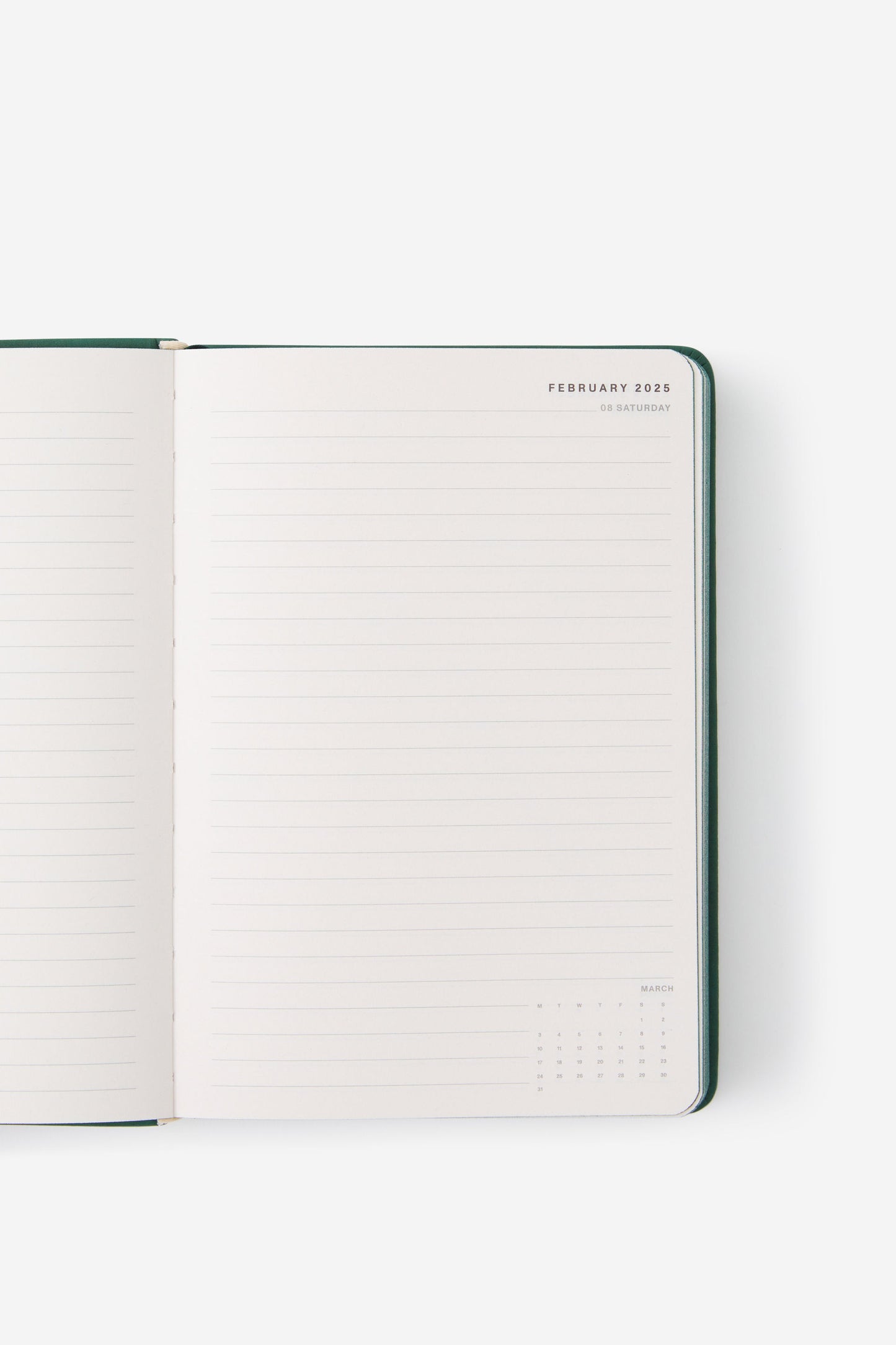 2025 A5 Daily Buffalo Diary