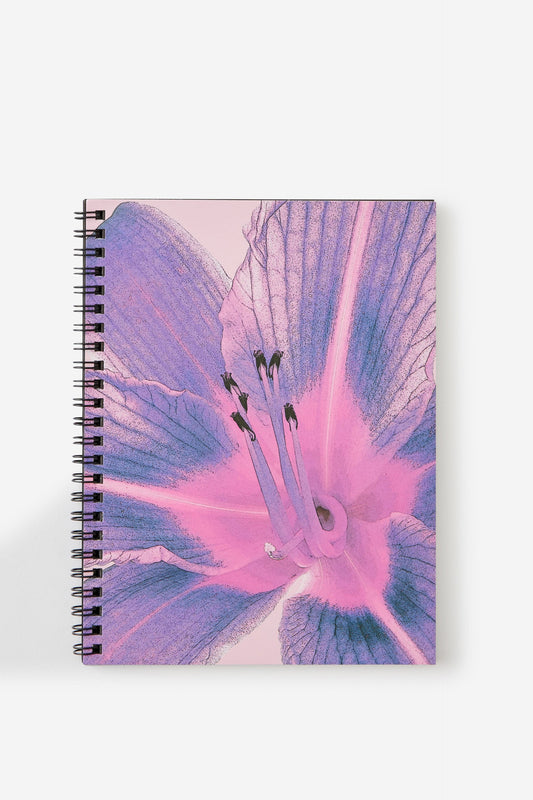 A5 Spinout Notebook V2