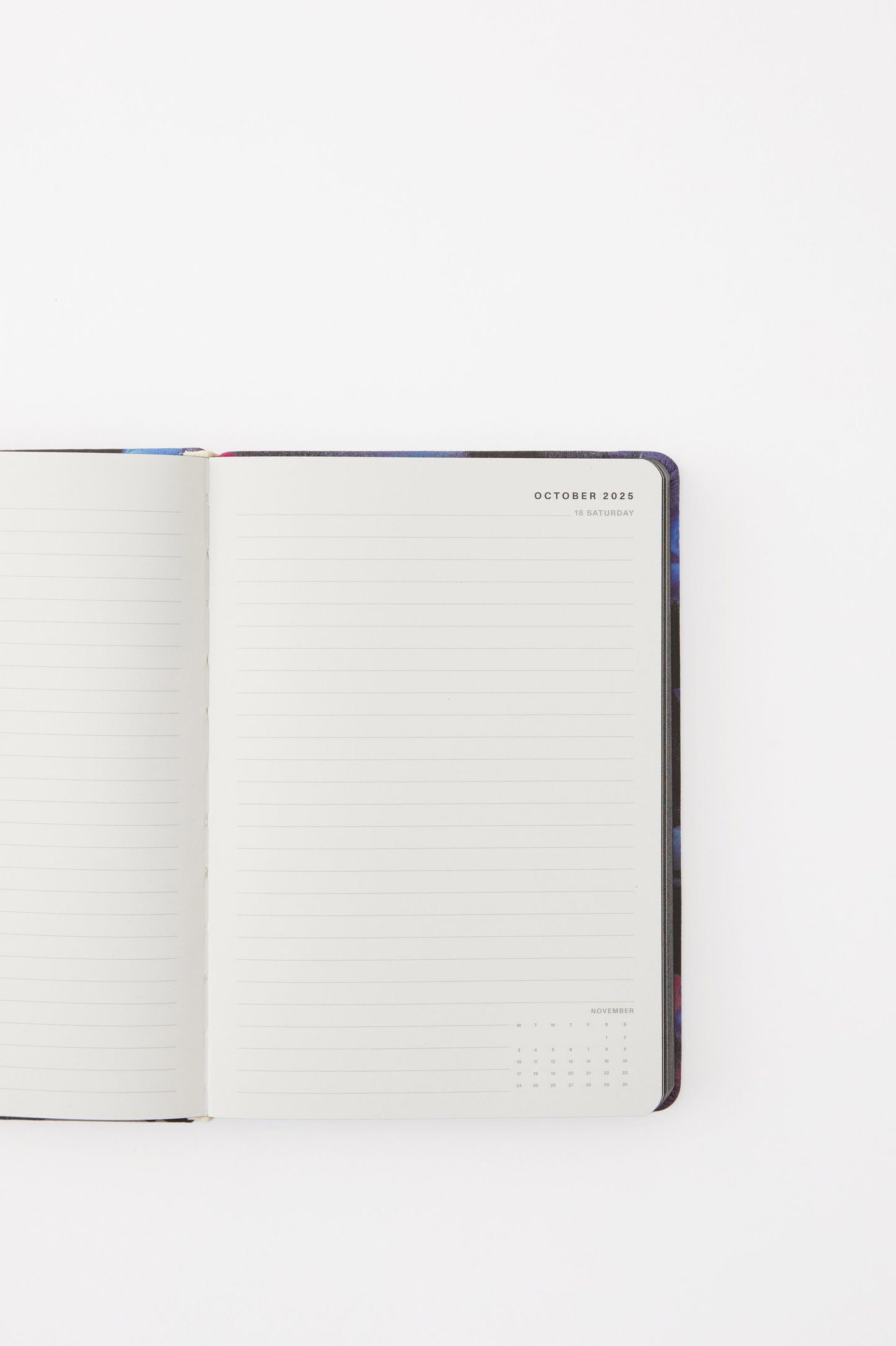 2025 26 A5 Daily Buffalo Diary