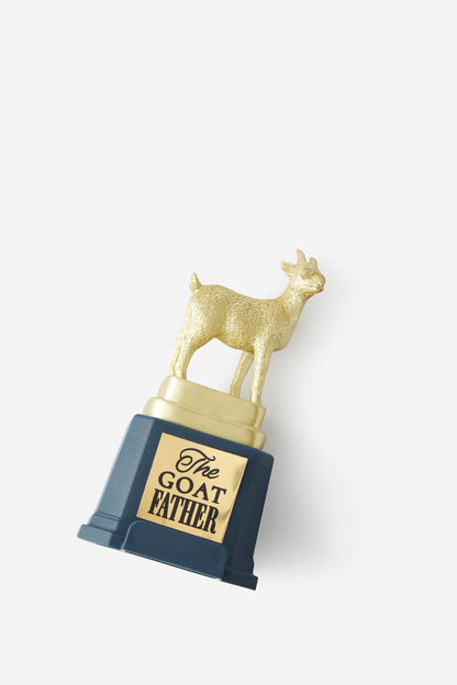 3 In 1 Novelty Trophy