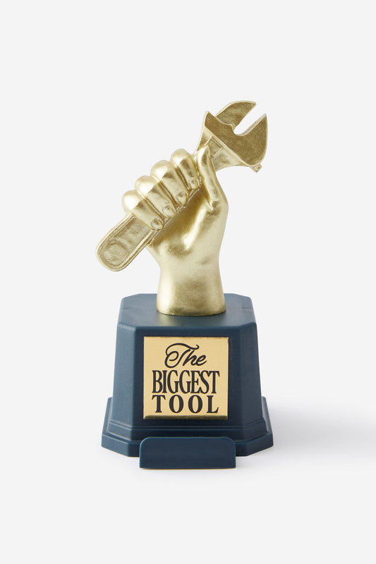 3 In 1 Novelty Trophy