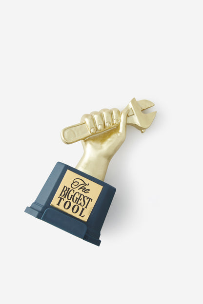 3 In 1 Novelty Trophy