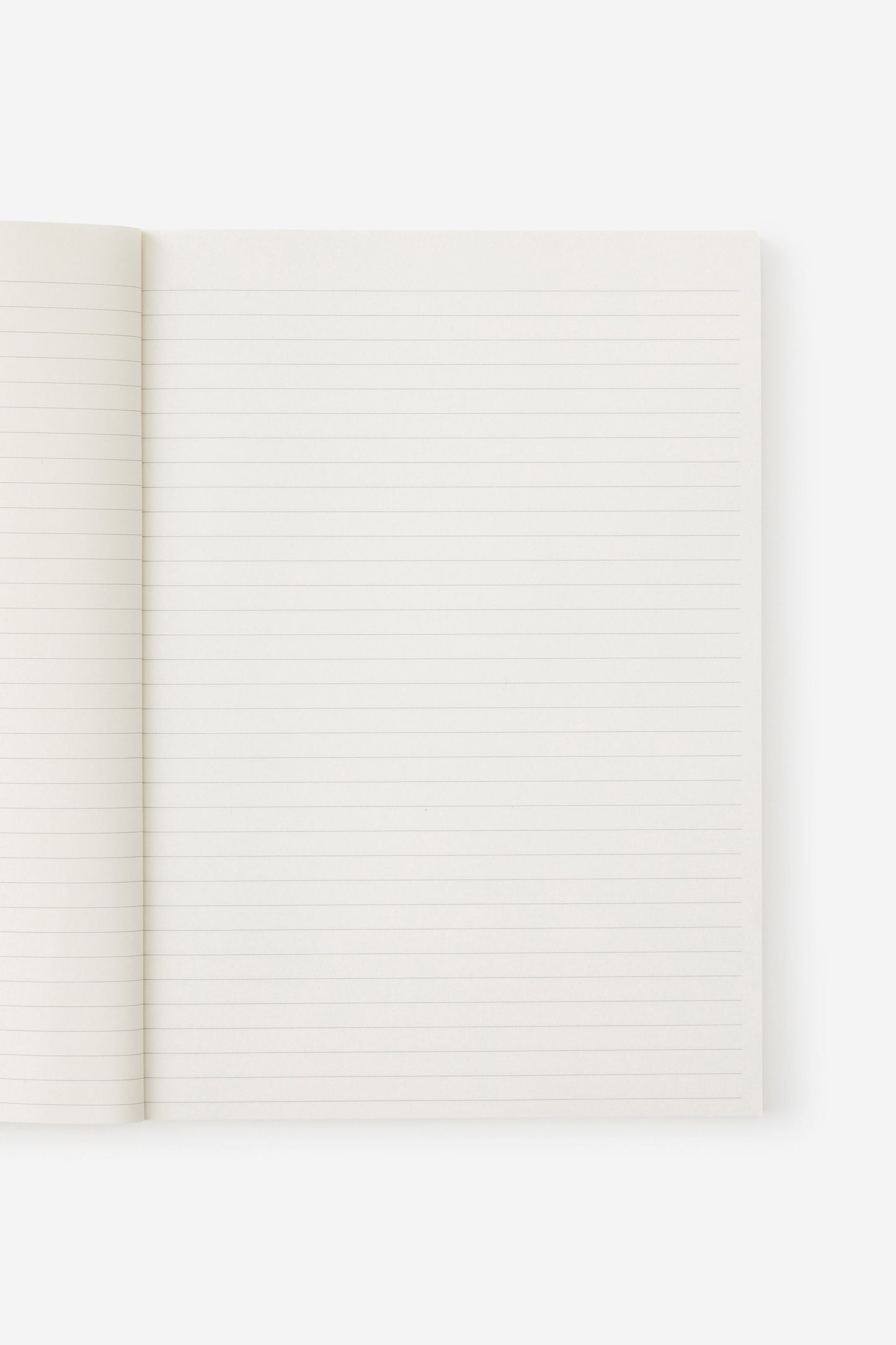 A4 Riley Notebook