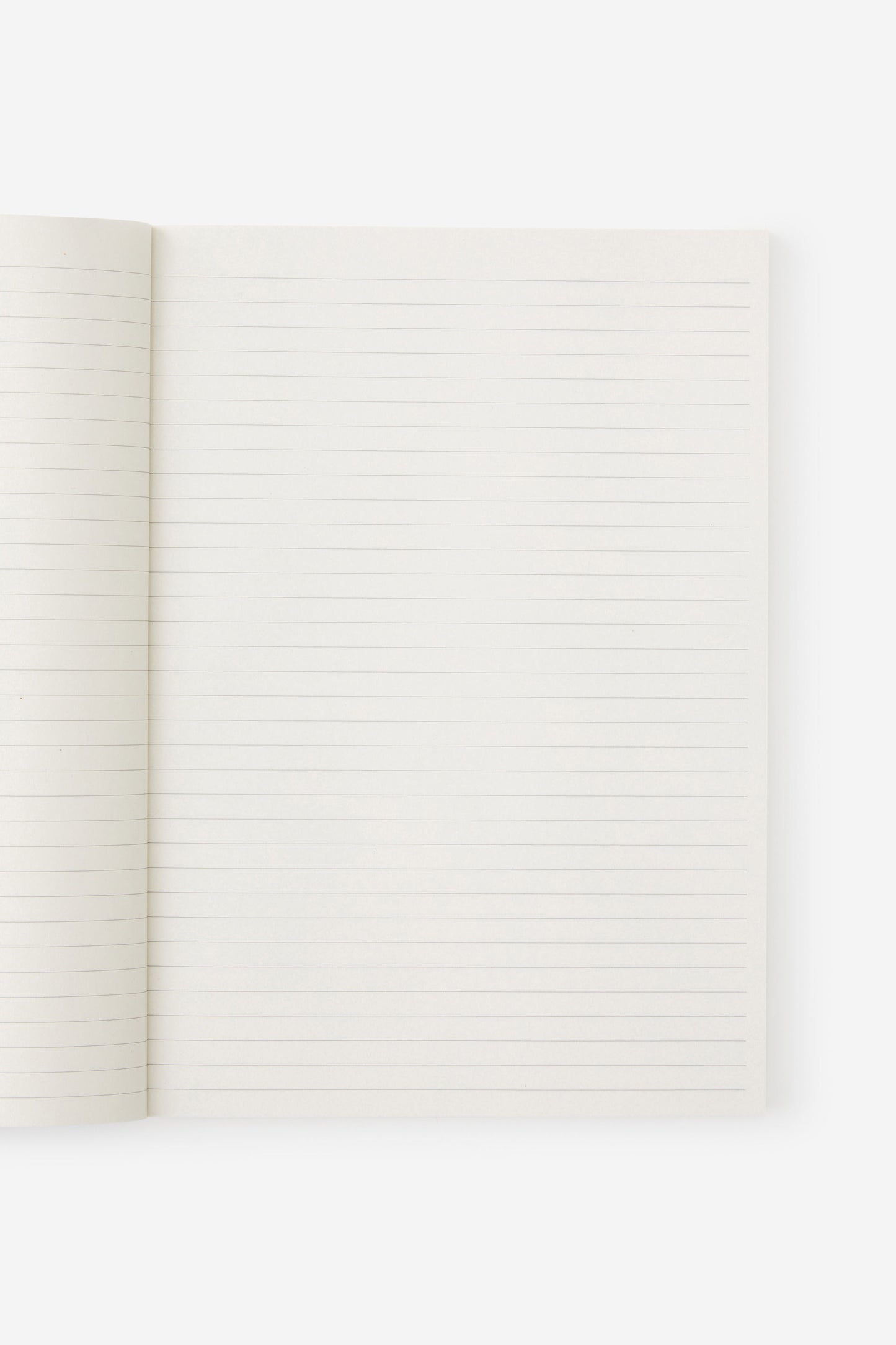A4 Riley Notebook