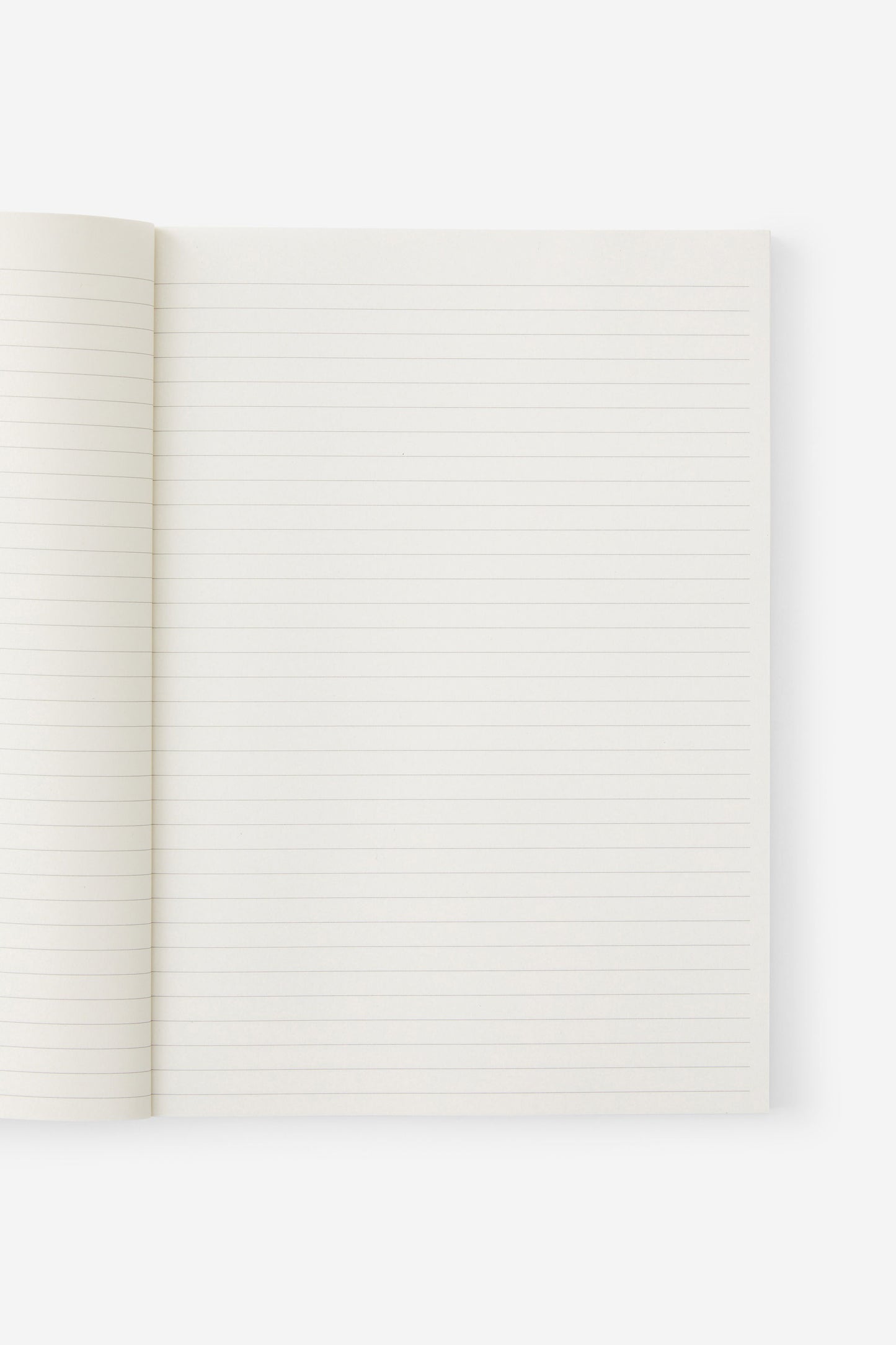 A4 Riley Notebook