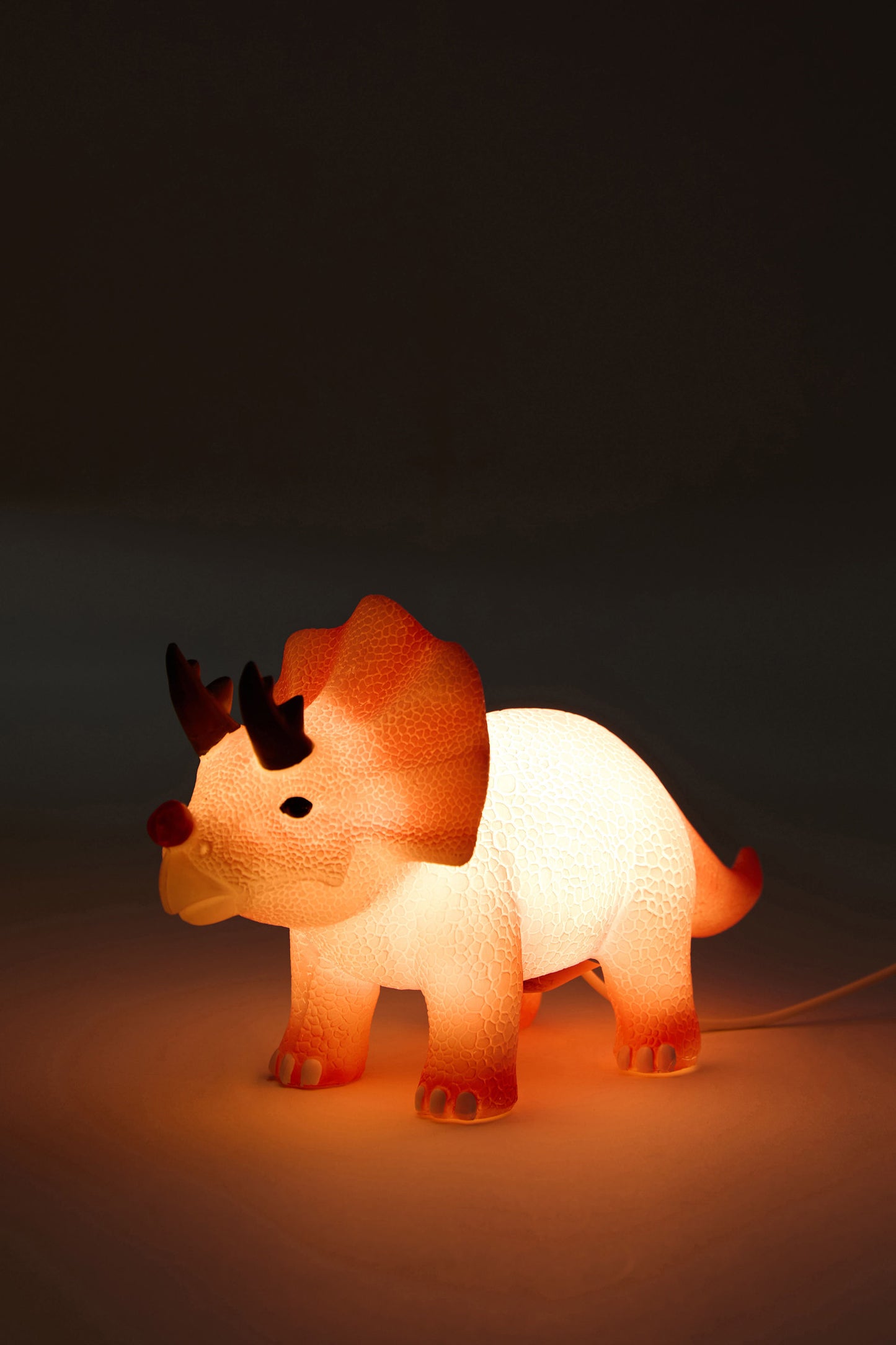 Christmas Resin Lamp