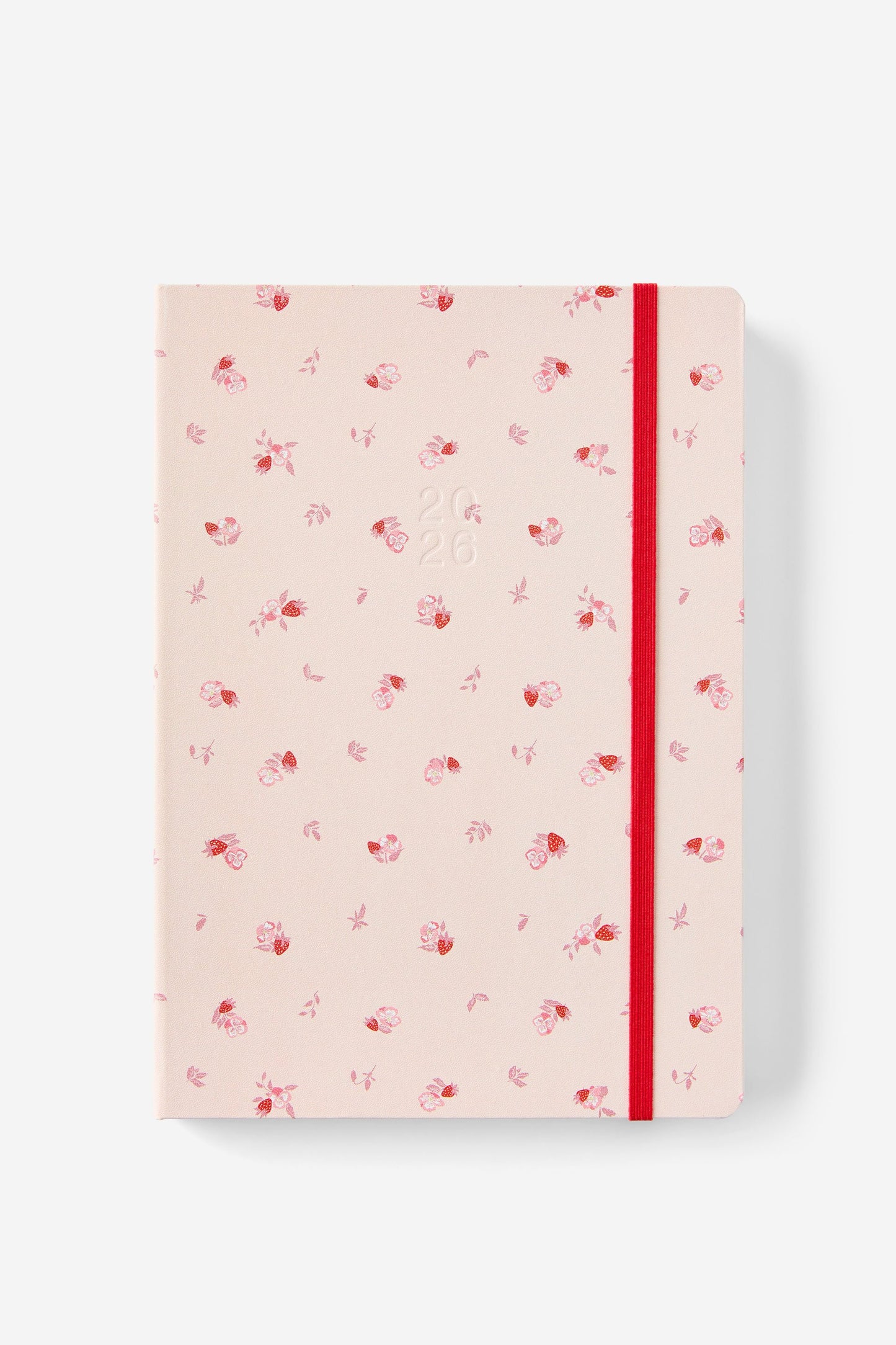 2026 B5 Daily Hard Metro Diary