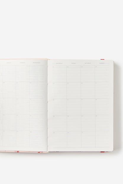 2026 B6 Daily Hard Metro Diary