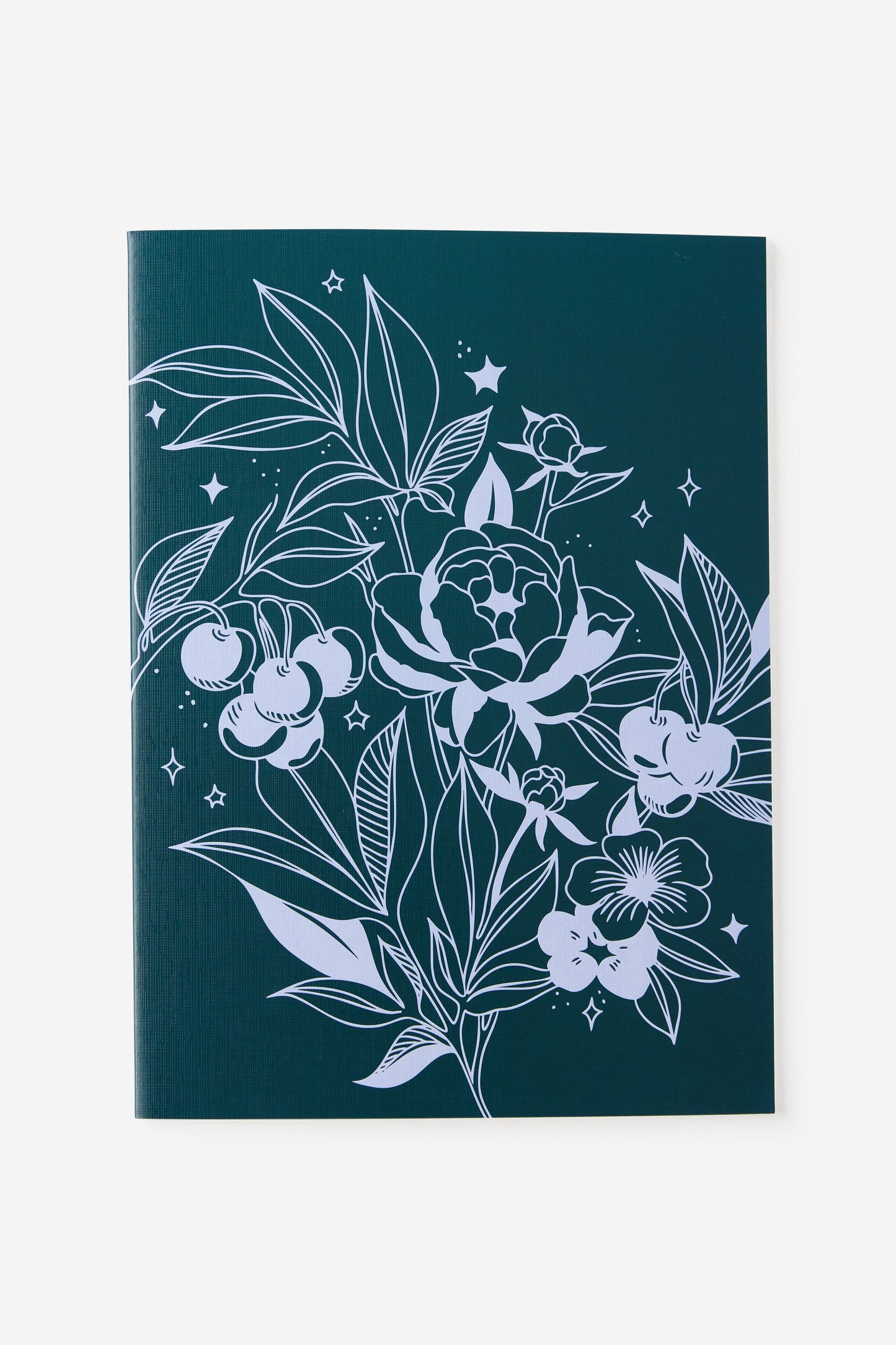 A4 3 Pack Lined Notebooks