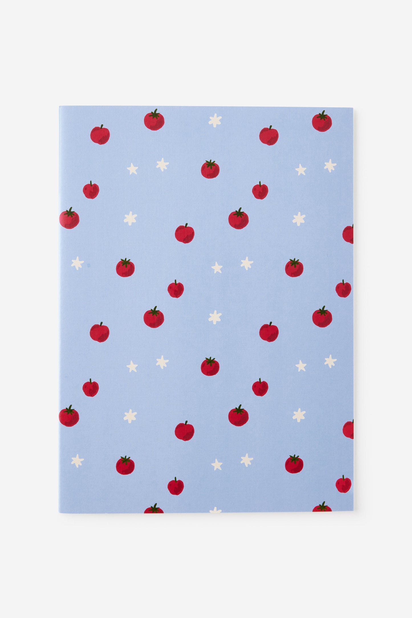 A4 3 Pack Lined Notebooks