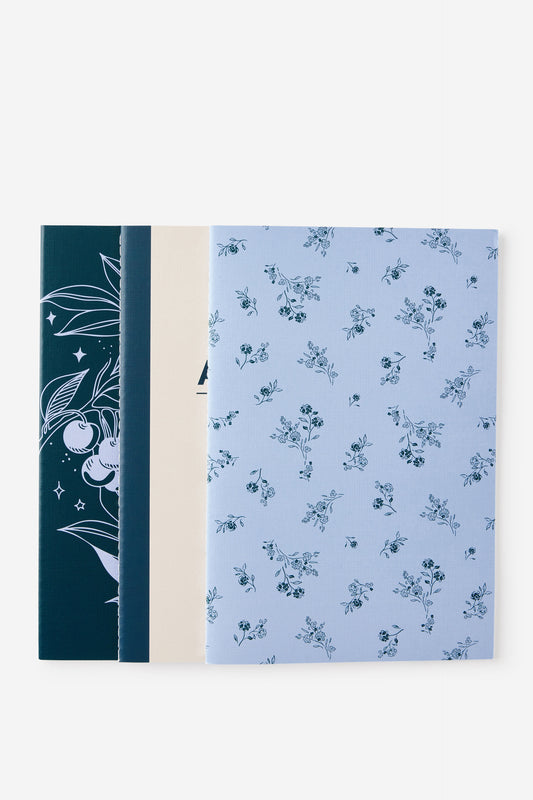 A5 3 Pack Lined Notebooks