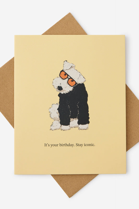 Funny Birthday Card 2.0