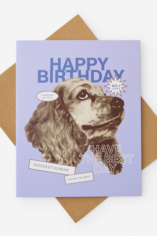Nice Birthday Card 2.0