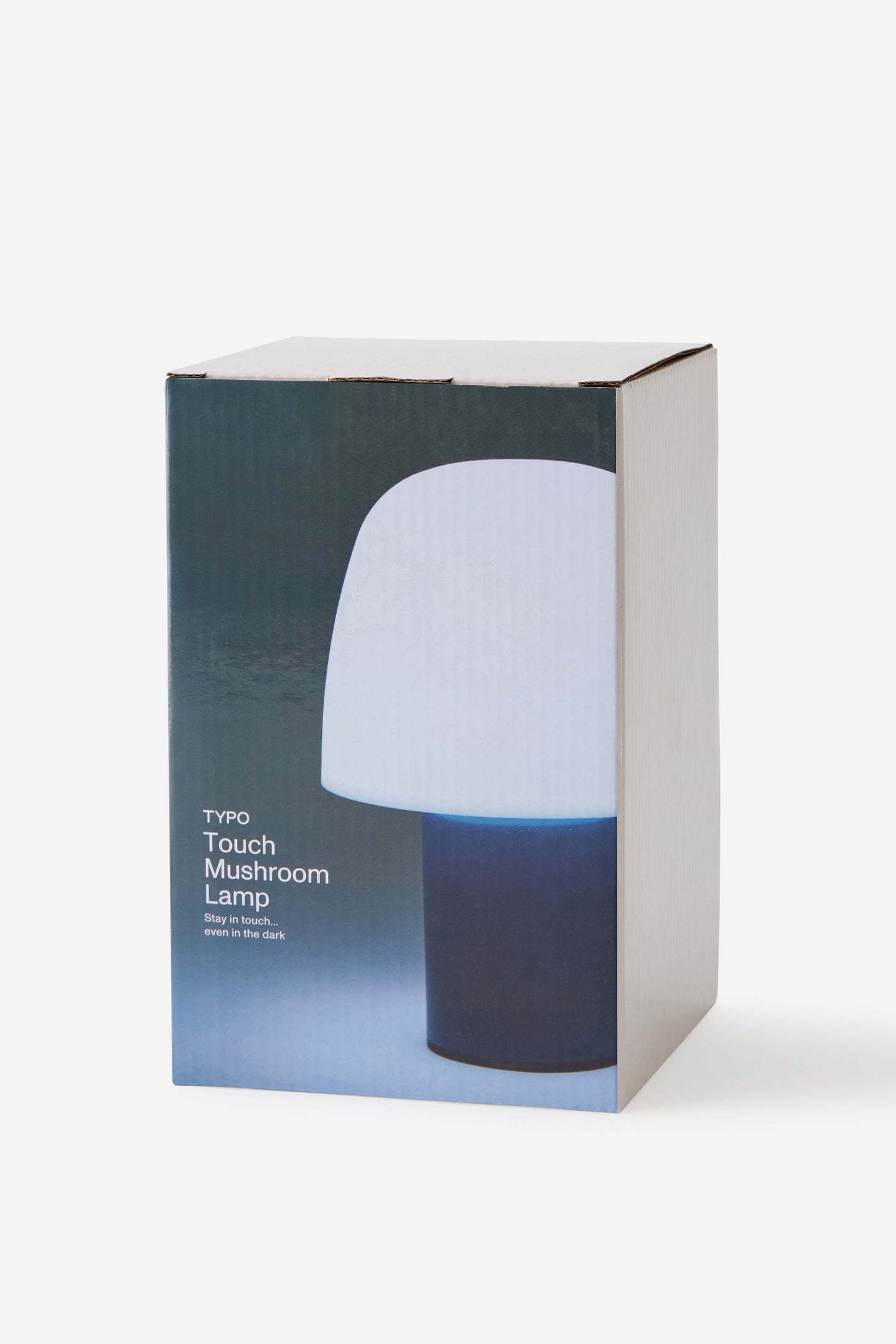 Touch Mushroom Desk Lamp