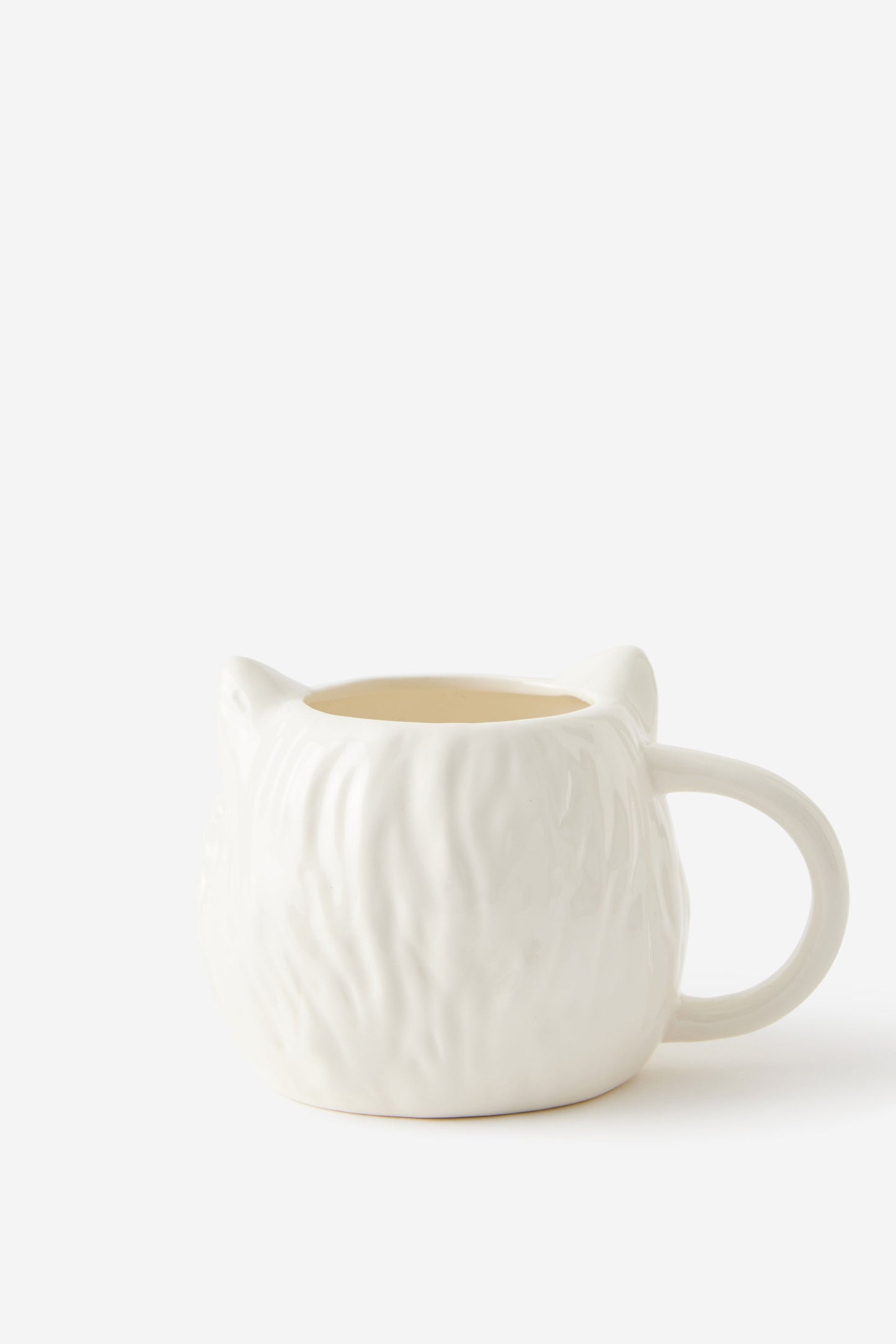 Persian Cat Fashion Mug