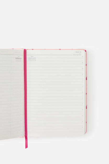 2027 B6 Daily On Schedule Diary